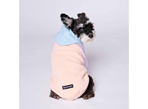 Cotton Candy Dog Hoodie L