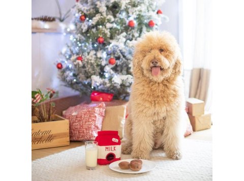 Holiday Zippy Burrow - Santa's Milk and Cookies - Christmas Dog Toy