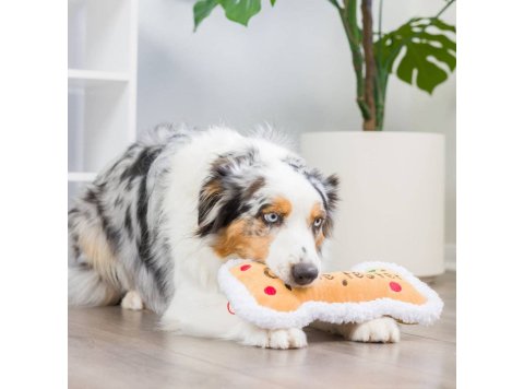 Cookie Tester Bone For Dogs Large