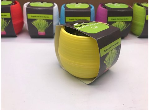 Cat Grass Ball White