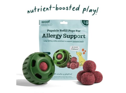 Allergy & Immunity Wellness Pops Large