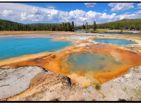 Spray Cologne For Dogs - Yellowstone - National Park Series