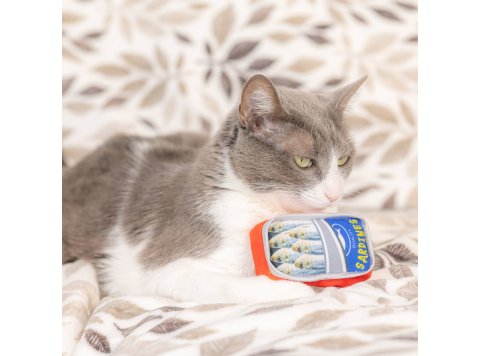 Sardine Tin For Cats