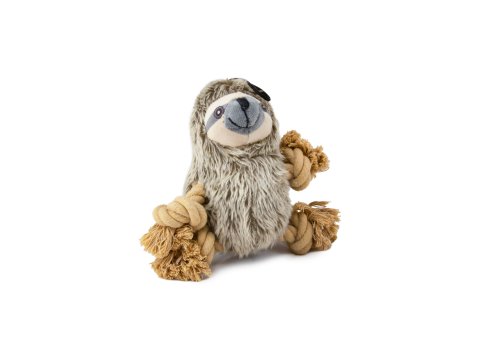 Roper Prairie Sloth