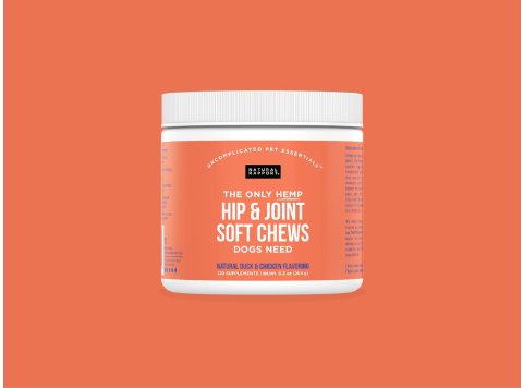 The Only Hemp Hip & Joint Soft Chews Dogs Need 120 count jar