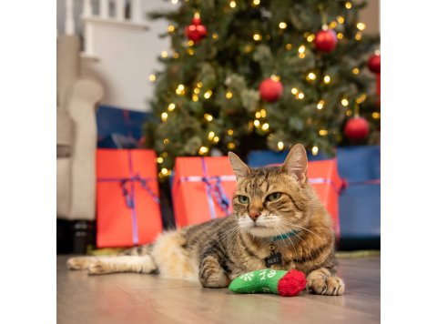 Good/Bad Kitty Stocking For Cats