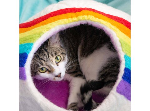 Rainbow Eco Kitty Cave - Cat Cave PACKAGE FREE (NO bag)