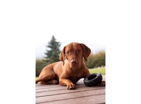 The Tire - Reclaimed Rubber Toy - MADE IN THE USA Large