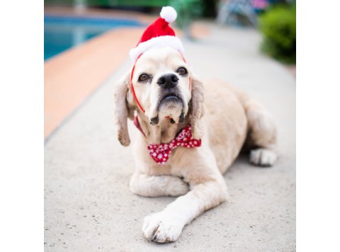 H&K Hat Santa with SnugFit® LG