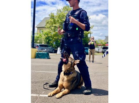 USA-K9 Magnum Grenade - Chew Toy - Reward Toy - Black Medium