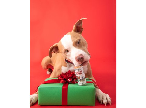 Holiday Mini Tube: Stocking Stuffer - Dog Treats
