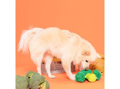 Broccoli Nose Work Toy
