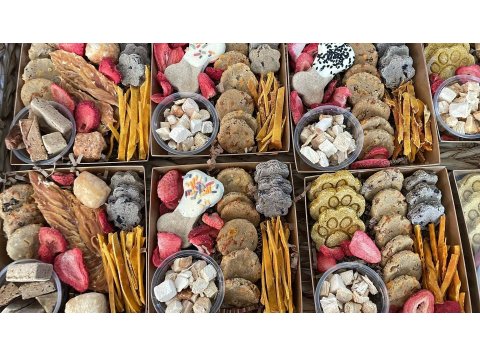 Barkuterie Box