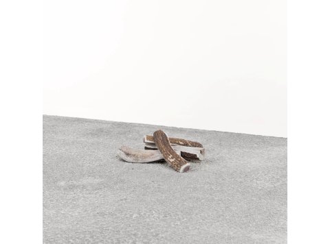 Primal Dog Stag Antler Small