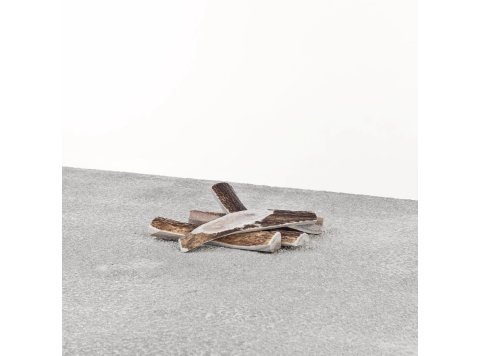 Primal Dog Stag Antler Medium