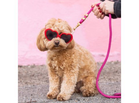 Hot Pink Marine Rope Dog Leash Standard 5 feet