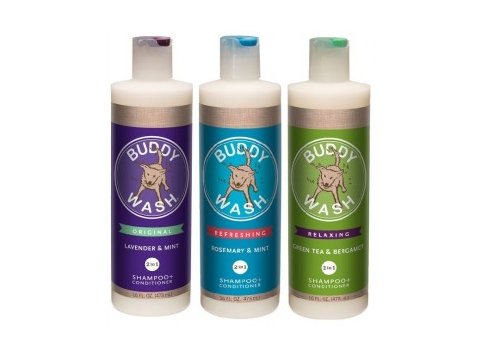Buddy Biscuits Buddy Wash 2-in-1 Shampoo + Conditioner 16oz Green Tea & Bergamot
