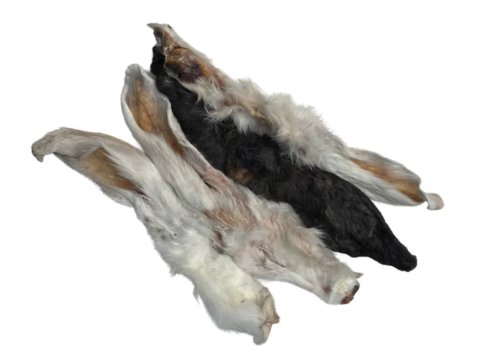 Fury Rabbit Ears