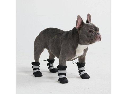 Flex Shell Water-resistant Dog Boots - Black C (6.1cm-7.0cm / 2.4"-2.7")