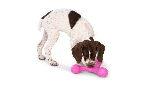 Skamp® Dog Toy for Play, Tug, and Fetch Hot Pink