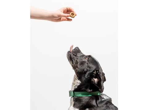 Organic PB&J Vegan Baked Dog Treats