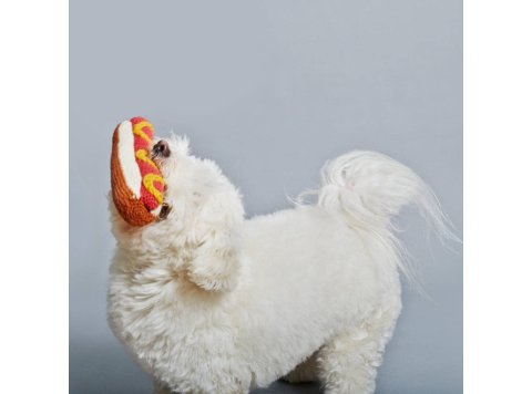 Hand Knit Hot Dog