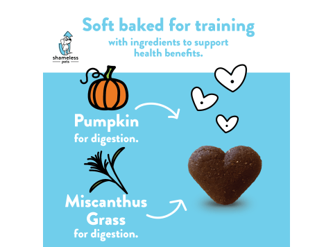 Pumpkin Nut Par-tay Soft Baked Dog Treats