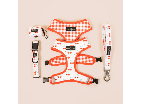 The Cheery Cherries Poop Bag Holder