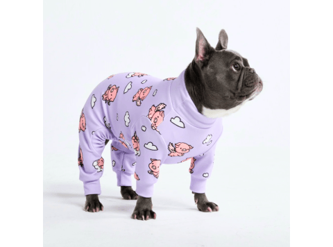 Dog Pajama - When Pigs Fly M