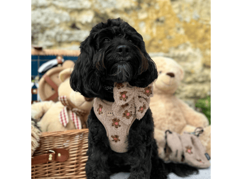 Theo Embroidered Teddy Adjustable Neck Harness S
