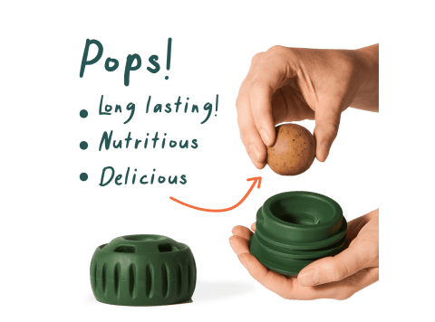Pupsicle Pops Beef