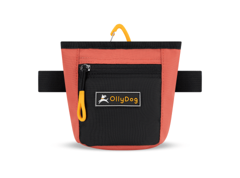 Goodie Treat Bag - Dog Treat Pouch Reef
