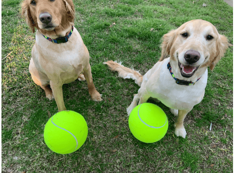Jumbo Tennis Ball