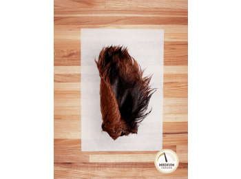 Bulk Chew: Beef Ear with Hair