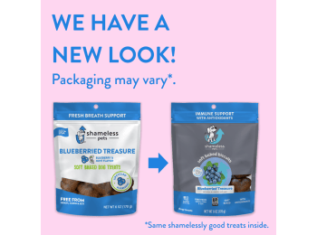 Blueberried Treasure Soft Baked Dog Treats