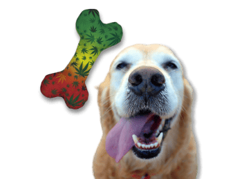 Stoned to da Bone | Funny Dog Toy | Cool Canvas Squeaky Toy