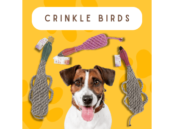Eco-friendly Recycled Bottle Crinkle Bird Toys Pet-Safe and Pheasant Pink