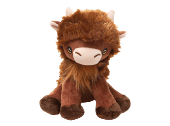 Nyland the Highland