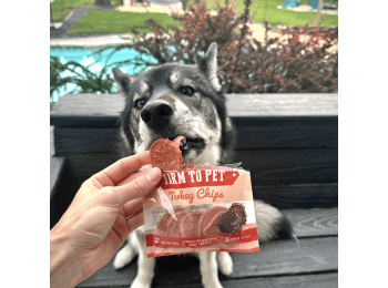 Turkey Chips Snack Packs for Dogs (24)