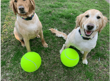Jumbo Tennis Ball