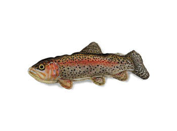 Denim Rainbow Trout