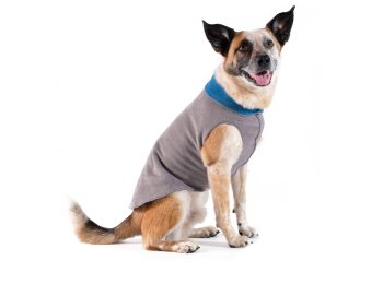 Double Fleece Charcoal/Lavender