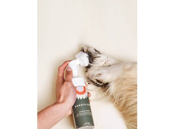Clean Paws No-Rinse Foaming Cleanser