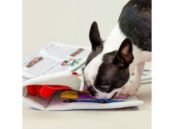 Newspaper Nosework Toy