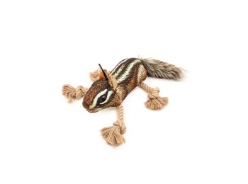 Roper Prairie Chipmunk