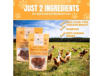 Paw Lickin' Pumpkin Chicken 12oz Bag