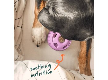 Calming Wellness Pops Extra Large