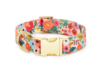 Rifle Paper Co. x TFD Garden Party Dog Collar S Gold