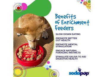 Santa Design eBowl Enrichment Slow Feeder Bowl for Dogs