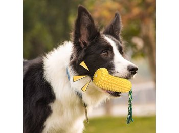 Corn Stick Dental Cleaning Dog Chew Toy
